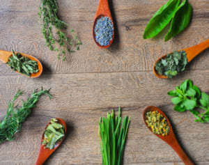 今「薬草」が再注目されている！専門家語る“食文化の見直し”