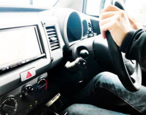 豪で運転中に毒ヘビ、換気でも懸念される“危険生物の侵入”