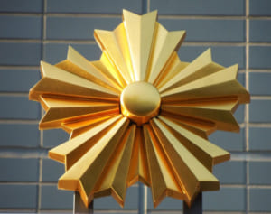 平野紫耀「中島健人くんは常に先頭を走ってくれる人」