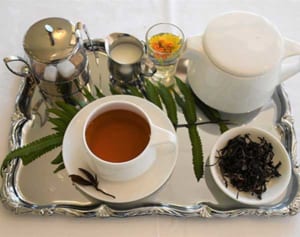 カヌチャリゾートで紅茶作り体験　レストランで提供も