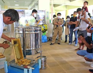 ミツバチで恩納を活性化　養蜂業者養成へ村が説明会