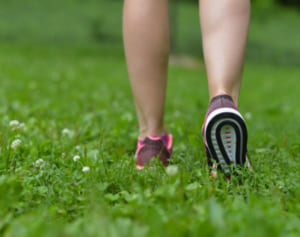 糖尿病専門医が伝授「高血糖に効果！筋力アップウォーキング」