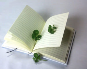 中島健人×平野紫耀「交換日記で2人の距離が縮まりました」