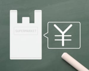 レジ袋有料化でごみは減るのか 大家志津香の困惑に同調広がる