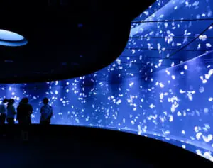 サンシャイン水族館「新クラゲエリア続々オープン！」