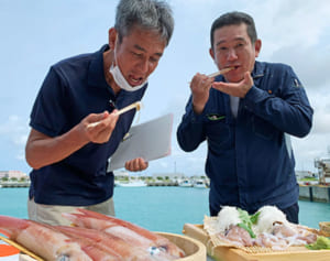 糸満「ケンサキイカ」ブランド化へ　濃厚な味「箸が止まらぬ」