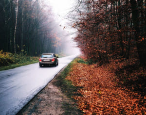 ガス欠の車残し消えた18歳女性、8日目に山奥で発見