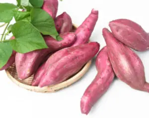 さつまいもは冷蔵庫より常温で…“栄養ロス”を防ぐ分岐点