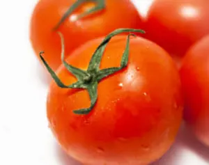 トマトの保存は上向きか下向きか？栄養にまつわる2択クイズ