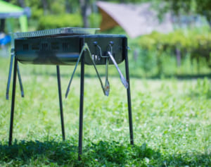 ボーナス減で「レジャー費」見直し、無料スポットを賢く活用