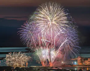 コロナ禍のサプライズ花火「全国“美SHOT”厳選（8）」