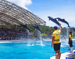 美ら海「オキちゃん劇場」10月から再開　コロナ禍で218日ぶり