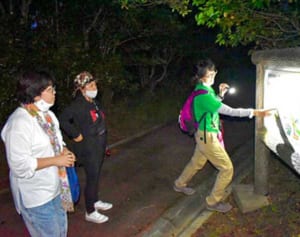 やんばるの森で夜の散歩　国頭村森林公園でツアー　動植物を見て楽しむ