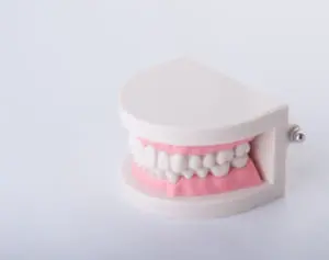 なぜ「噛み合わせの悪さ」が腰痛を招くのか、歯科医が解説