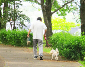 「犬を飼う」「仕事を続ける」医師が実践する認知症の予防習慣