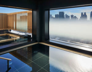 新宿を18階から見下ろして温泉に　大都会に出現した温泉旅館