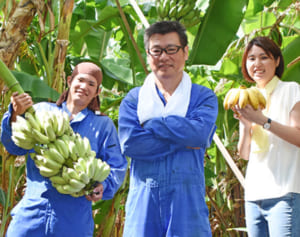 甘くてモチモチ！銀バナナ　希少種のおいしさ、SNSで人気じわり　八重瀬の久保さん