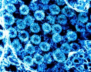 コロナの生存力はインフルの5倍！帰宅直後の衣服洗濯が重要