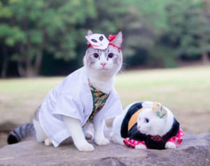 『鬼滅の刃』ちびっ子＆わんにゃんのコスプレコレクション