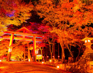 神社研究家が厳選！運気アップする「パワスポ神社」の紅葉11