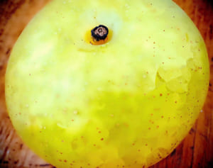 Snow Man阿部亮平「帰り道で振り返りざまのキスを妄想」