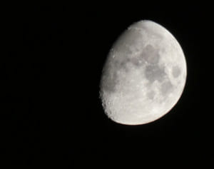 ダイエットは月が欠けていく時期に！薬草デトックスレシピ5