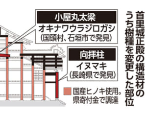 首里城正殿の復元に県産木　寄付金で調達　地震にも強い木材