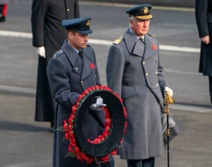 ヘンリー王子 戦没者追悼記念日に花輪の奉納を断られていた