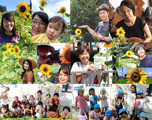 沖縄のヒマワリ、全国で咲いてます！　「日本一早い祭り」が中止…種を全国に無償配布　村に続々届く開花の報告