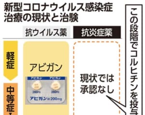 琉大、コロナ重症化防止へ来年から治験　痛風治療薬の効果を検証　横浜市立大学大学院などと共同