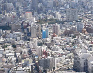 沖縄県内の3大学、10月末の就職内定率30％下回る　コロナで大幅に悪化　求人減らす企業も