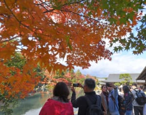 GoToで増すコロナ感染リスク“紅葉クラスター”発生の懸念も