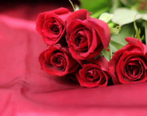 Sexy Zone 松島聡復帰＆デビュー10年「5人でいるのが当たり前」