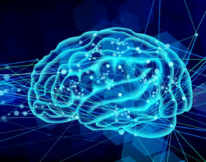 “栄養番長”姫野友美医師「認知症を招く糖化による“サビ”にご用心」