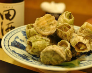 驚きの美味しさ！“甲殻類”フジツボの意外な側面 ダーウィンも熱中