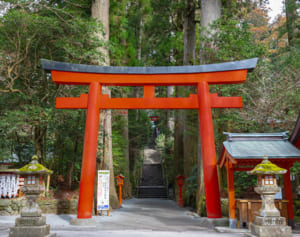 3密を避けて参拝を…「初詣での基本のお作法」をおさらい