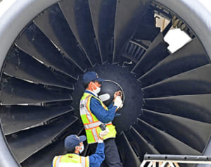 緊急着陸のJAL機、胴体と水平尾翼も損傷　「鳥衝突」痕跡なし 事故調が調査開始