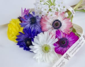 木村拓哉　後輩について語る「嵐は悔しかったんじゃないか」