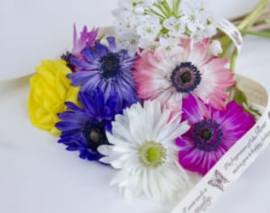 Sexy Zoneを蜷川実花が撮影！記念すべき出会いの裏側