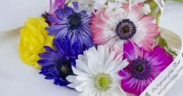 蜷川実花のニュース記事まとめ 女性自身