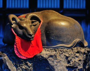 初詣でで行きたい“丑神社”〜東日本編