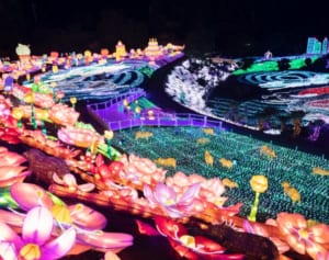 3密回避の新様式で楽しむ「絶景イルミネーション厳選9」