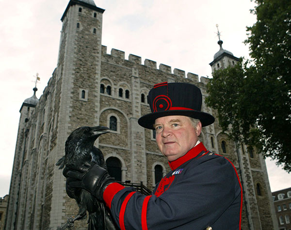 ロンドン塔の“カラスの女王”が姿くらます