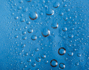 医学部教授語る「冬とコロナ」低湿度で体のバリア機能も低下