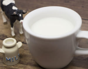睡眠不足解消に効果あり？ホットミルク飲むとなぜ眠くなる