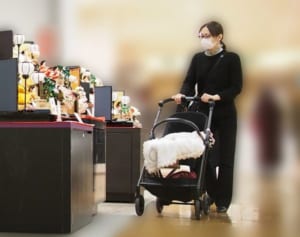 北川景子 DAIGOと雛人形探し！娘に捧げた産後初の結婚記念日