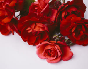 イケメン度は瓜二つ！斎藤工×中島健人が語るお互いのセクシー