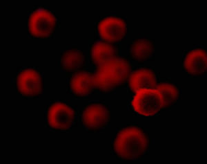 専門家が解説「新型コロナウイルスは常に変異し続けている」