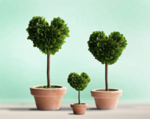 SixTONES森本慎太郎の「カラダの秘密と自己採点」は？