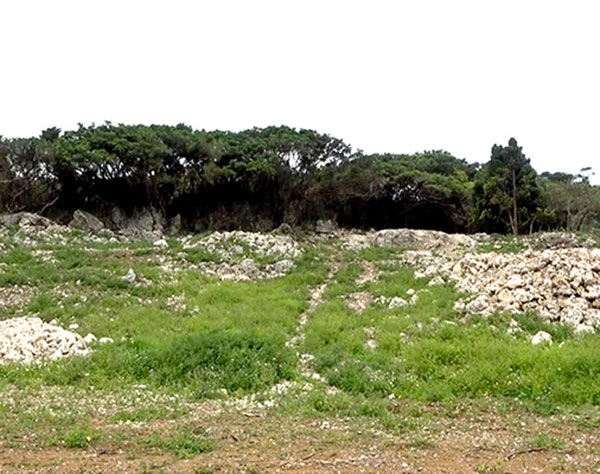 糸満市米須の土砂採掘予定地から十数の骨片　沖縄県など戦没遺骨収集